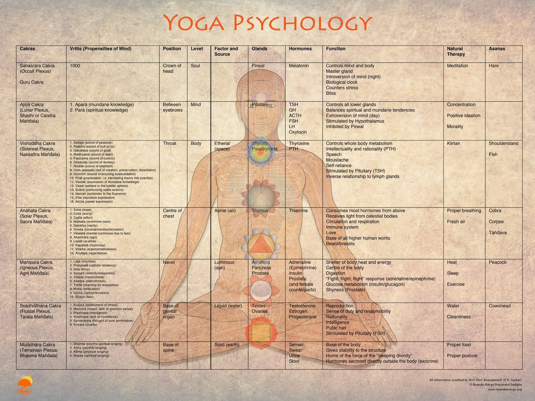 Yoga Psychology: the cakras, vrttis, glands and hormones